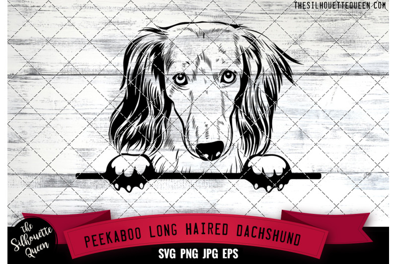long-haired-dachshund-peek-a-boo-peekaboo-peeking-dog-face