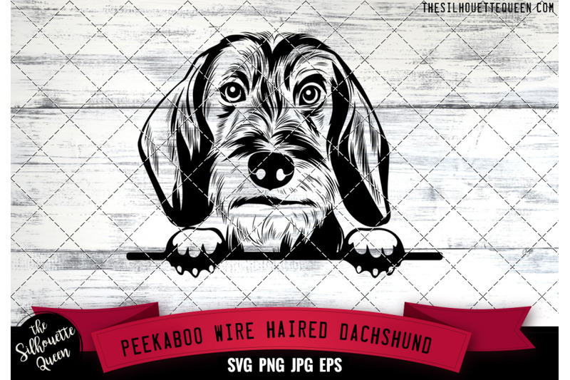 wire-haired-dachshund-peek-a-boo-peekaboo-peeking-dog-face-svg