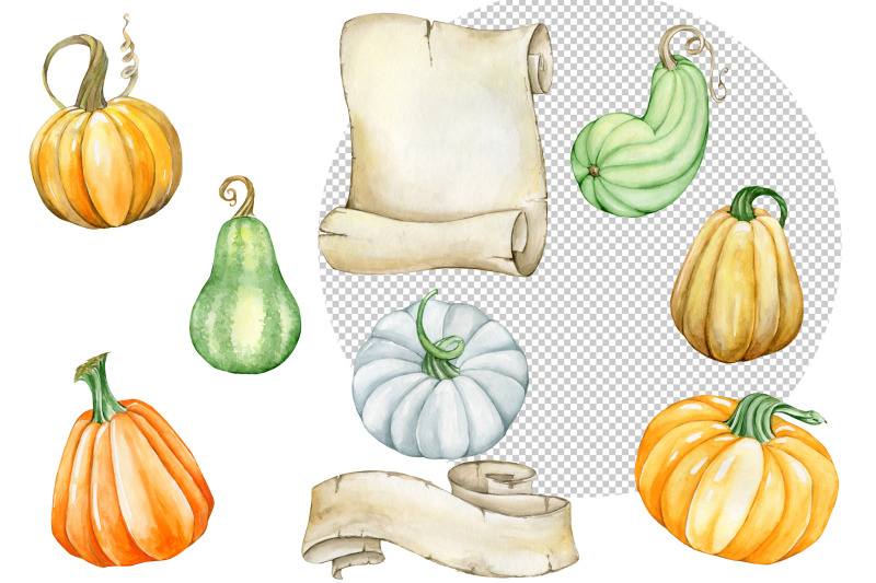 watercolor-png-pumpkin-individual-clipart-hand-painted-individual-cli