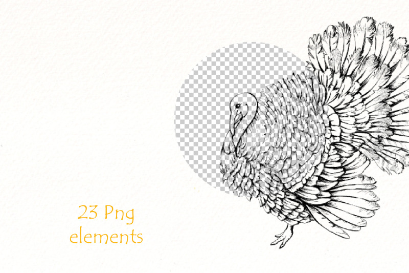 thanksgiving-black-and-white-clipart-fall-png-bundle