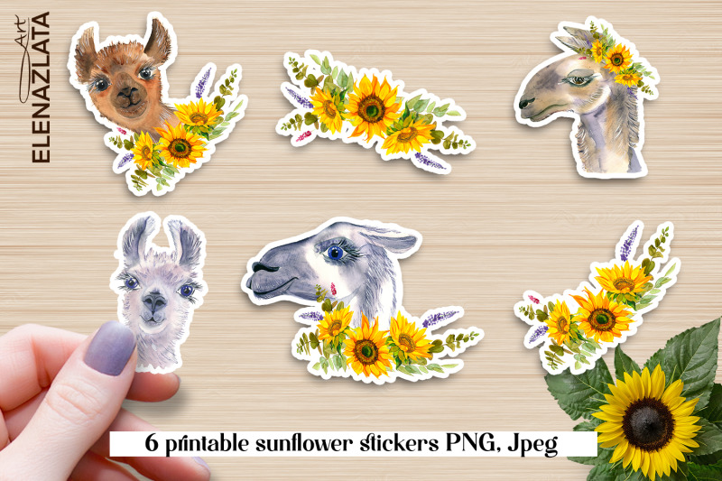 animals-llamas-sunflower-stickers
