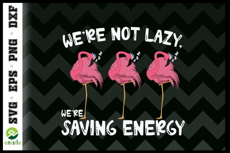 we-039-re-not-lazy-we-039-re-saving-energy