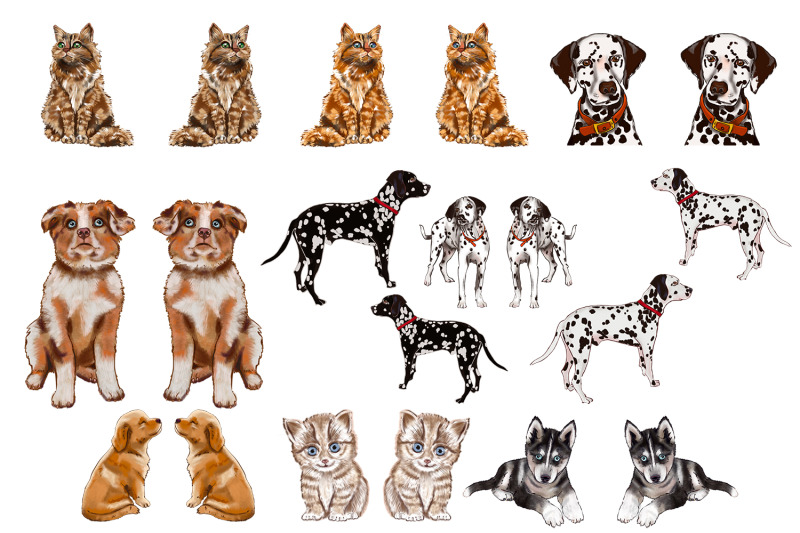 breeds-of-dogs-cats-clipart-sublimation-dog-png