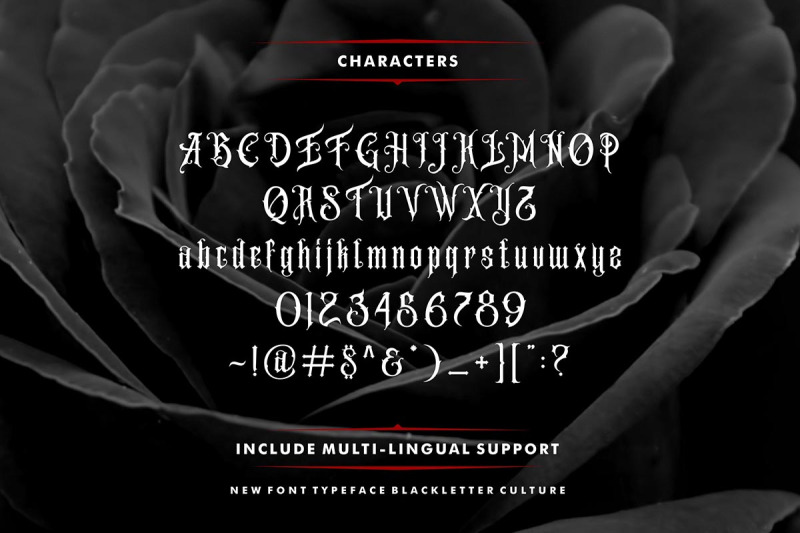 amstrong-typeface