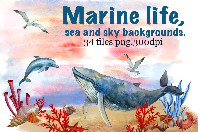 marine-life-sea-and-sky-backgrounds