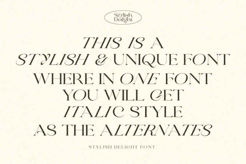 stylish-delight-modern-serif