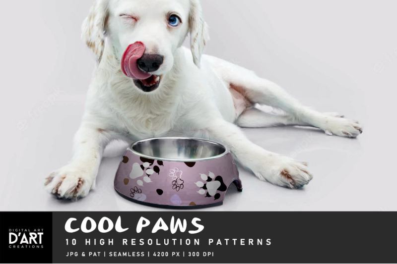 cool-paws