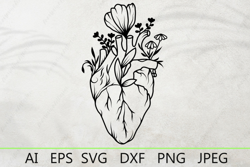 human-heart-with-flowers-floral-anatomical-heart-svg