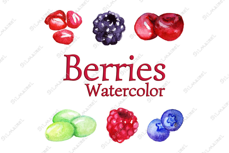 watercolor-berry-vector-isolated-set