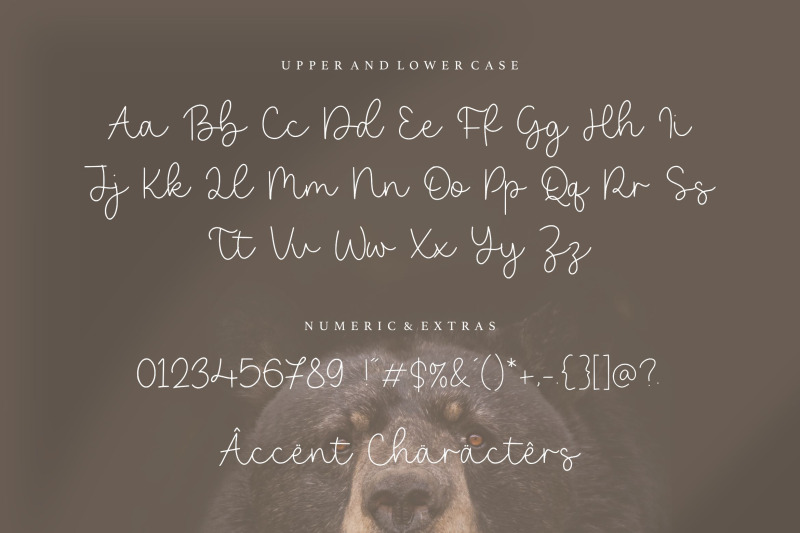 bearline-casual-monoline-script-font