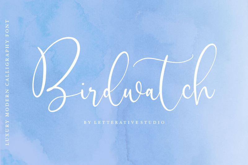 birdwatch-is-a-luxury-modern-calligraphy-font