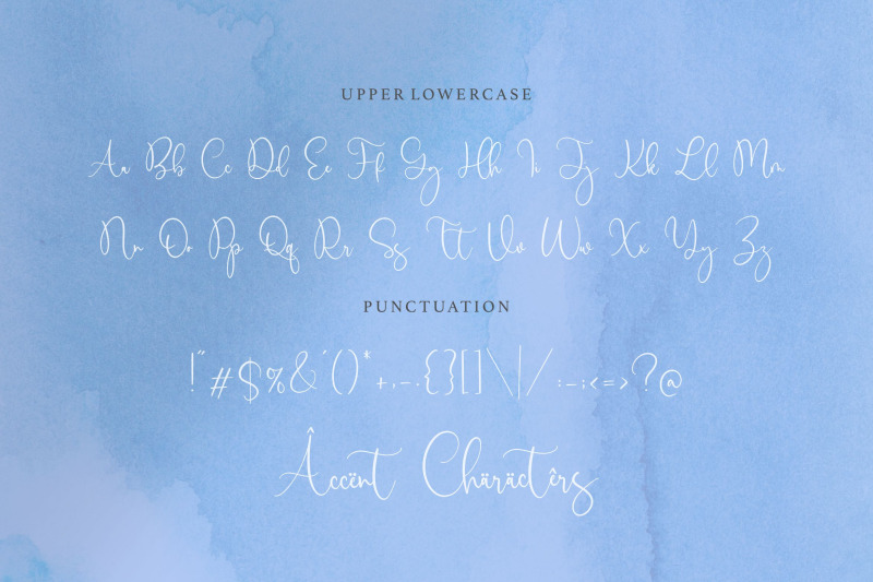 birdwatch-is-a-luxury-modern-calligraphy-font