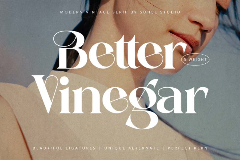 better-vinegar-modern-vintage-serif