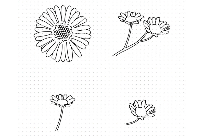 daisy-flower-svg