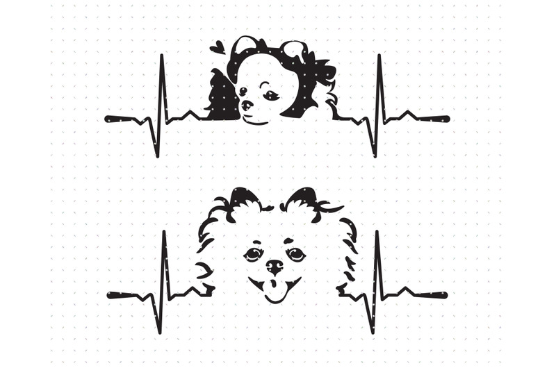 pomeranian-dog-heartbeat-svg