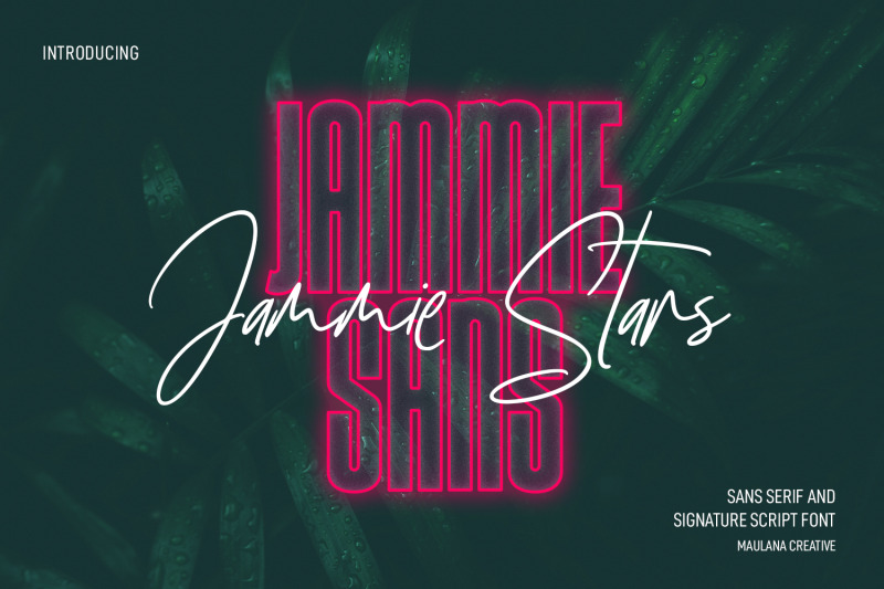 jammie-stars-signature-script-sans-font-duo