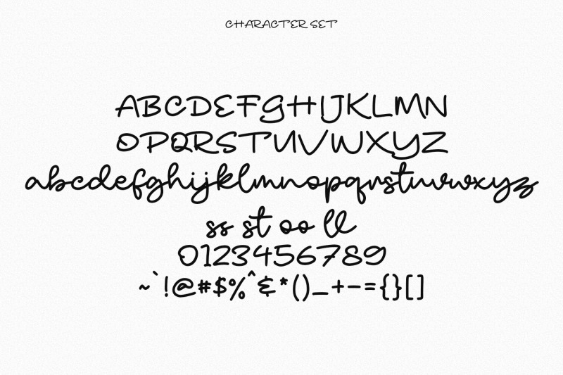 shorebird-script-font
