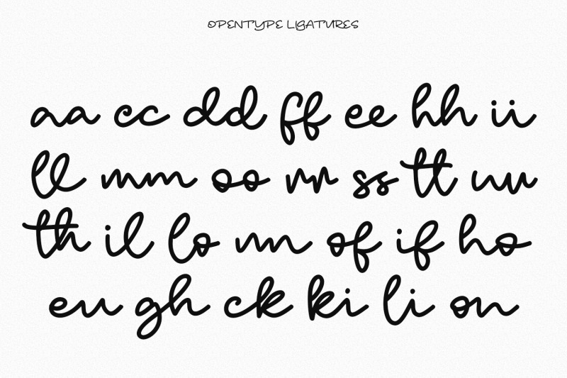 shorebird-script-font