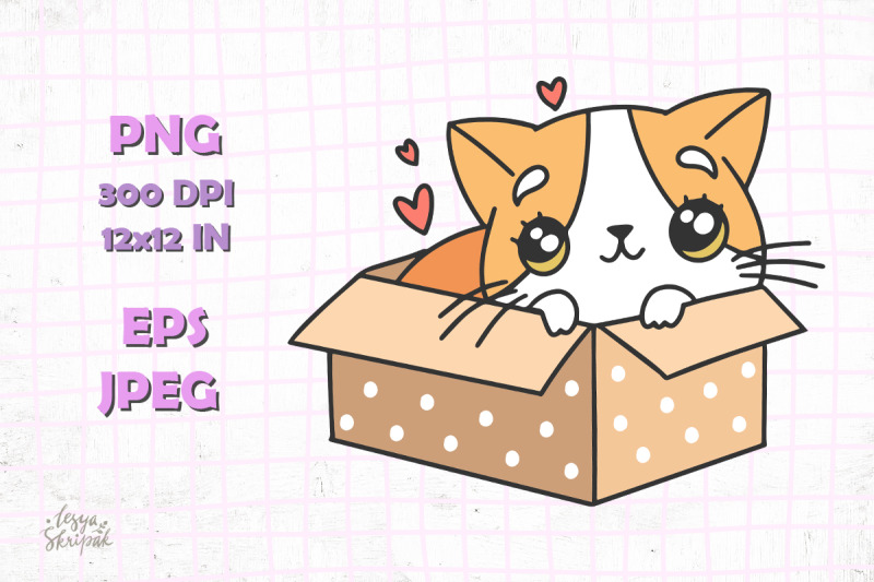 kawaii-cat-in-box-kawaii-kitten