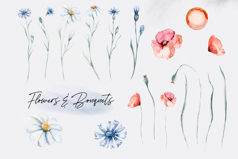 watercolor-wild-flowers-png-elements-set