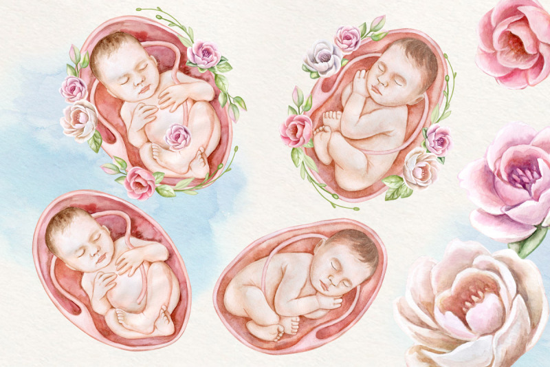 fetus-watercolor-newborn-baby-clipart-placenta-flowers
