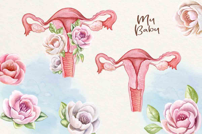 fetus-watercolor-newborn-baby-clipart-placenta-flowers