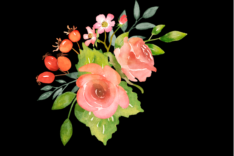 watercolor-floral-clipart-roses-and-leaves-png-bundle
