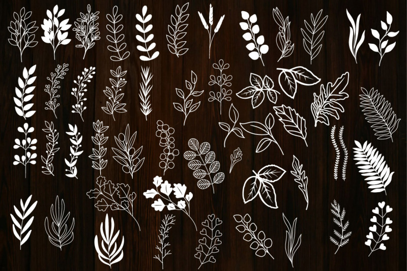 flowers-and-leaves-svg-bundle-botanical-clipart-wildflower