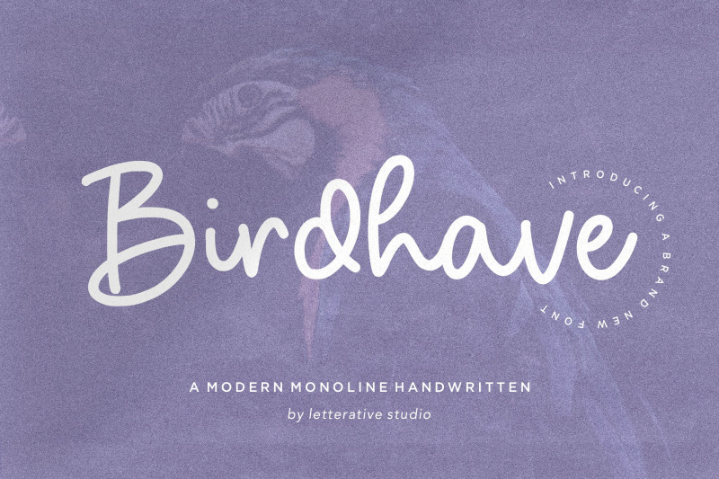 birdhave-modern-monoline-handwritten-font