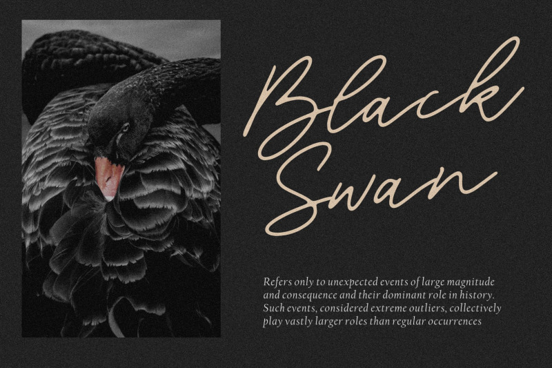 blackswan-monoline-signature-font