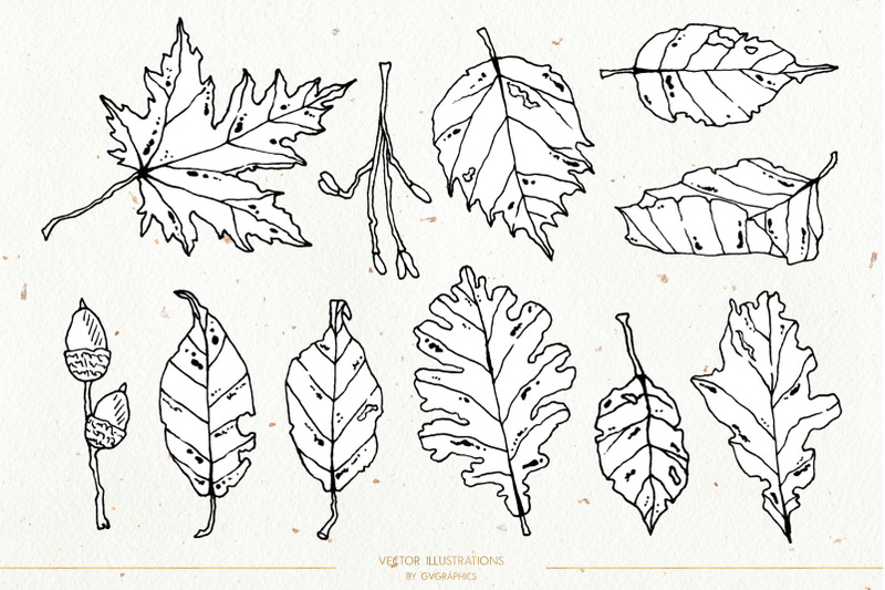 leaves-and-branches-botanical-vol-2