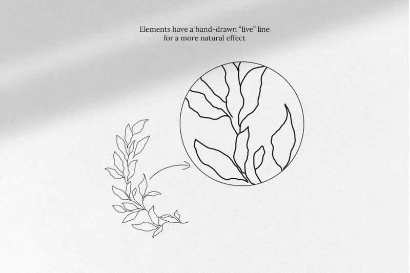 leaves-amp-branches-line-art-collection