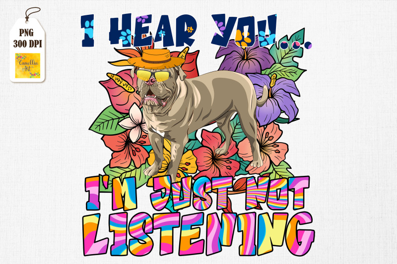 i-hear-you-i-039-m-just-not-listening