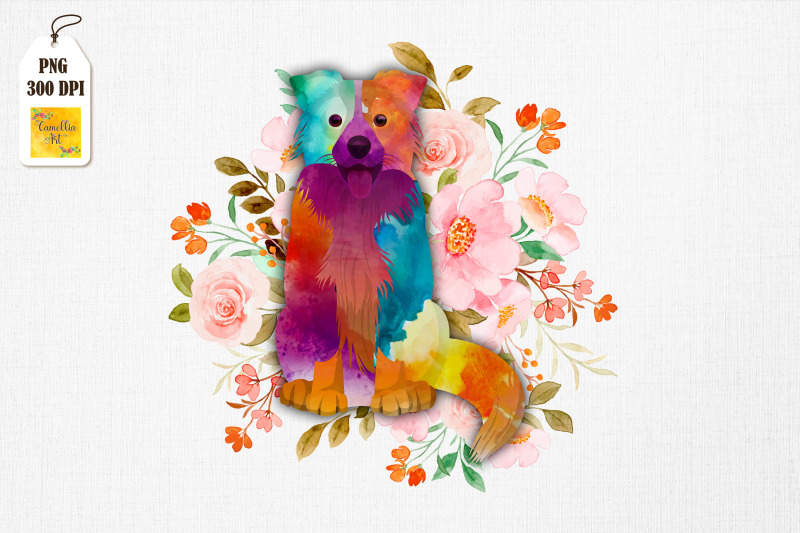 colorful-border-collie-for-dog-lover