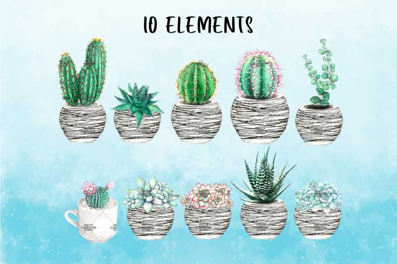 watercolor-succulent-clipart-set-in-pots-cactus-clipart-png