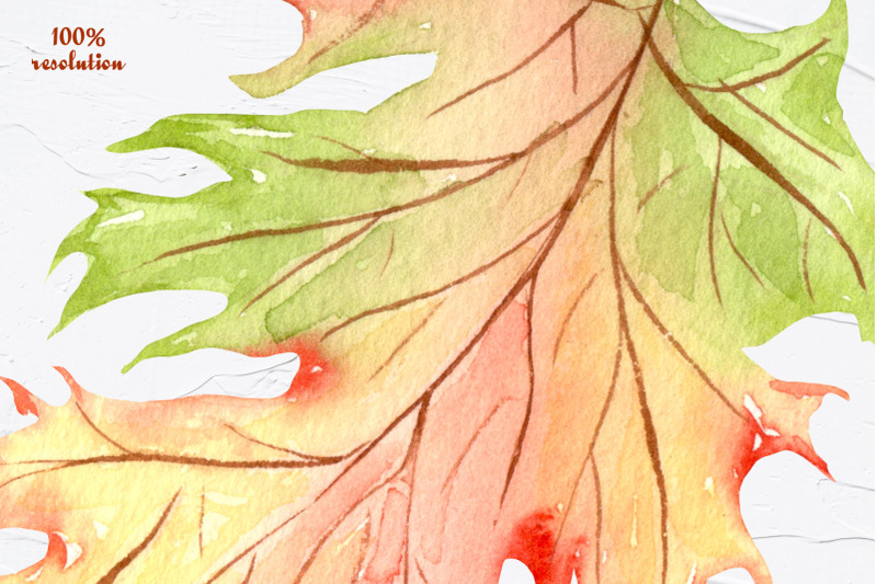 autumn-garden-watercolor-collection