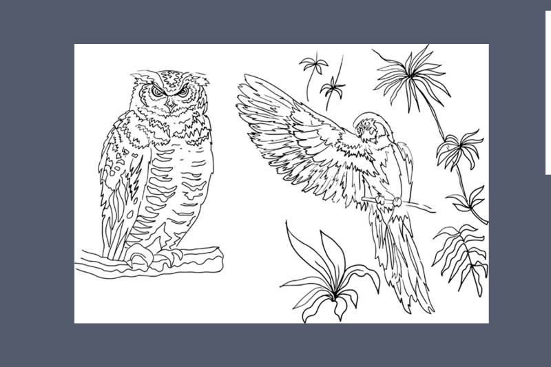 coloring-pages-nature