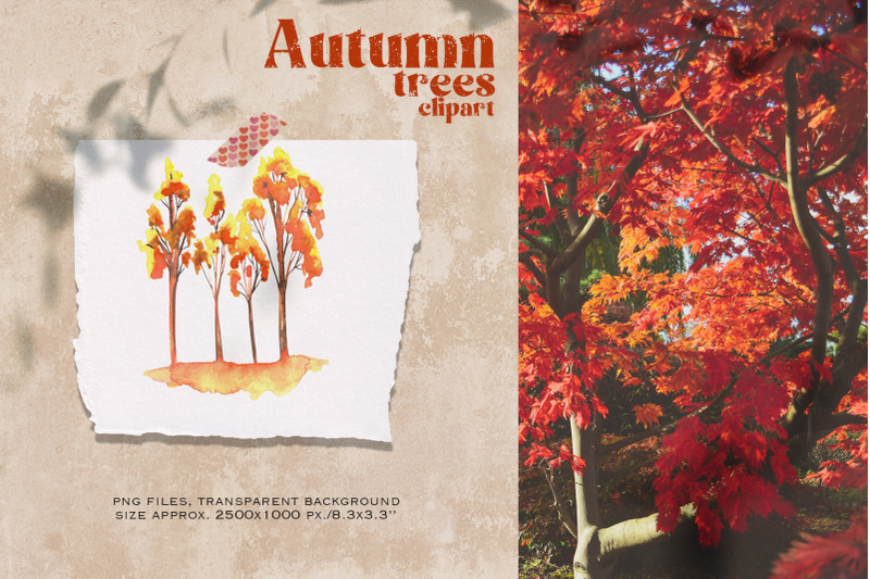 rich-autumn-watercolor-collection