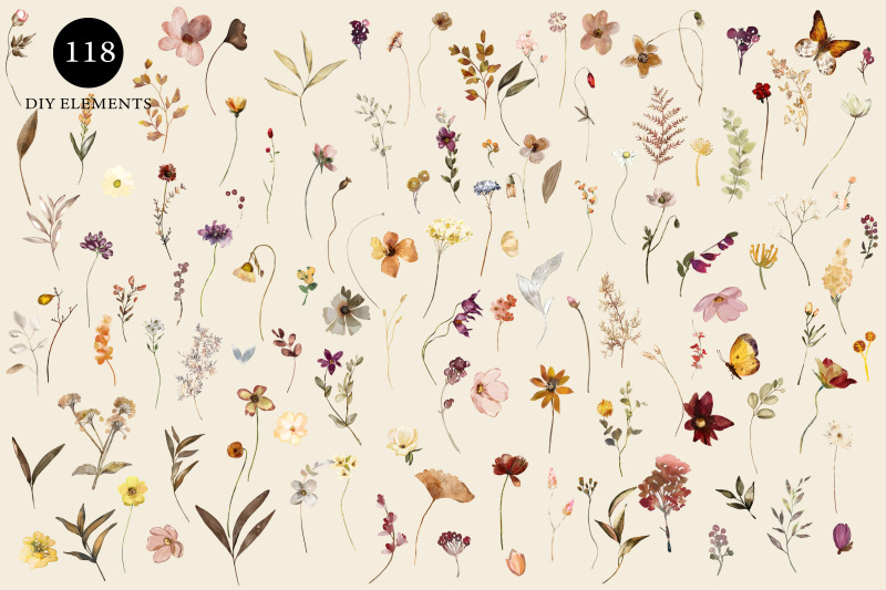 watercolor-autumn-wildflowers-huge-set