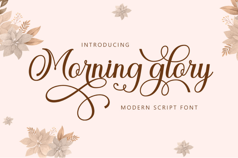 morning-glory-script