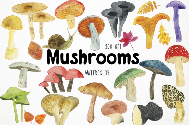 watercolor-mushrooms-clipart-mushrooms-graphics-fungi-clipart-forest