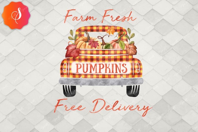 farm-fresh-pumpkin-free-delivery-autumn