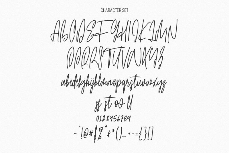 jim-holly-signature-script-font