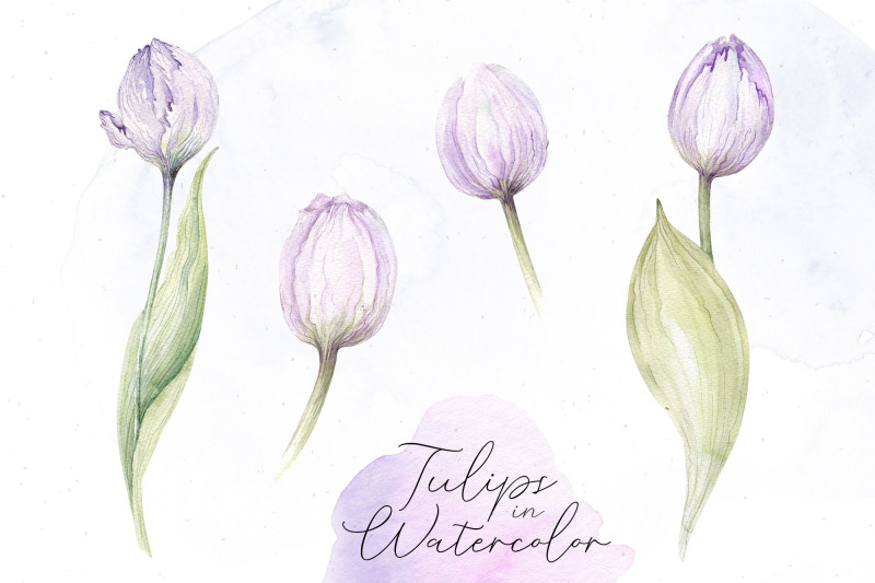 watercolor-tulips-floral-clip-art-blossom-watercolor-eco-design-png