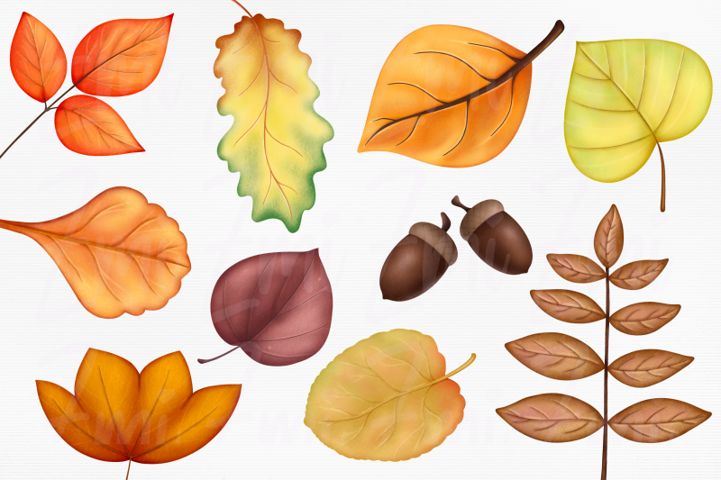 fall-leaves-clipart-illustration