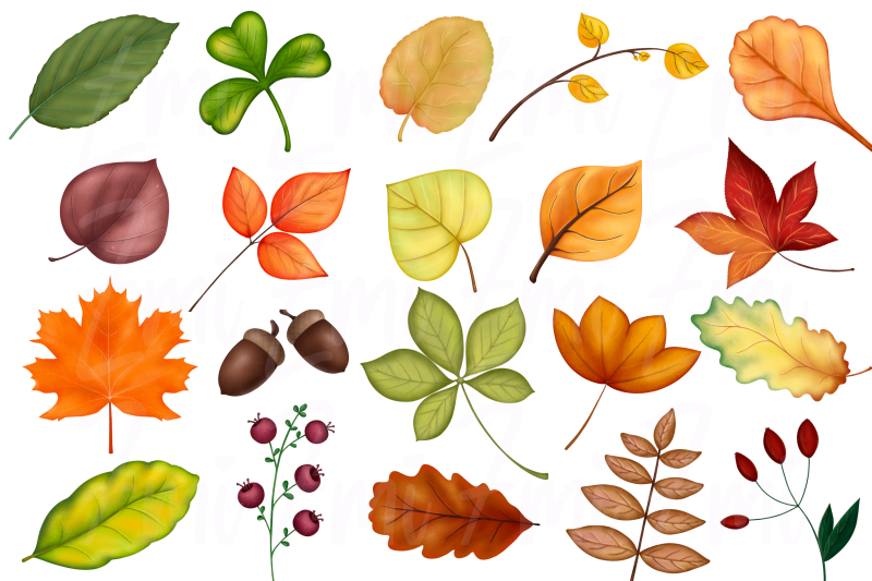 fall-leaves-clipart-illustration