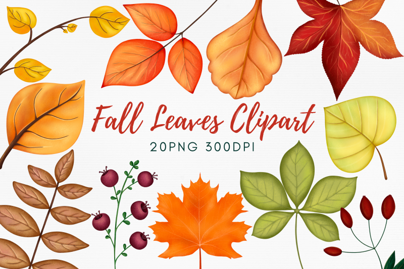 fall-leaves-clipart-illustration