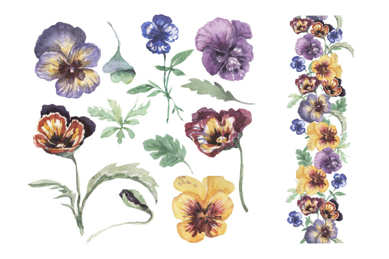 pansy-watercolor