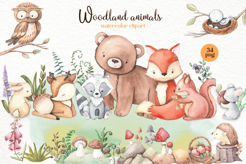 watercolor-clipart-of-forest-animals-cute-forest-clipart