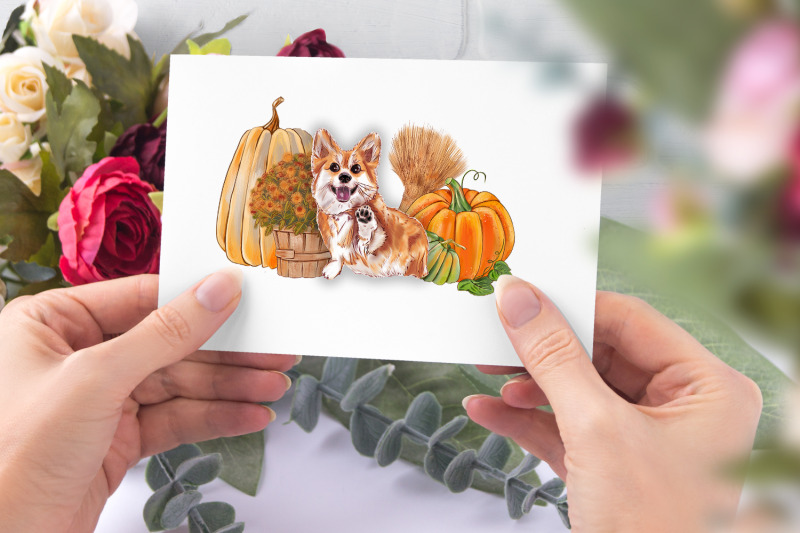 sunflower-pumpkin-picking-truck-cute-dog-autumn-png-compositions